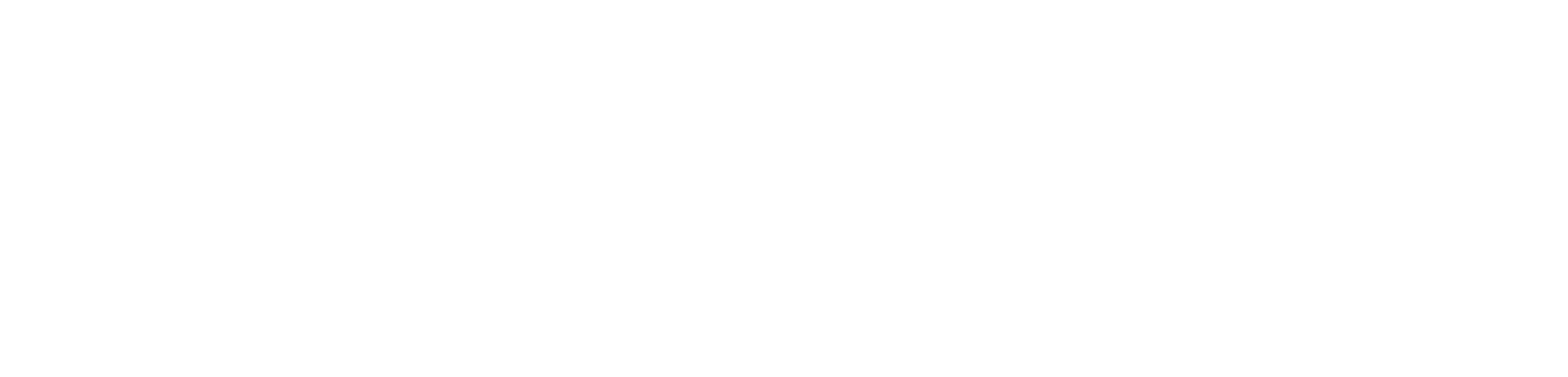 media Icons Maas-logo-white